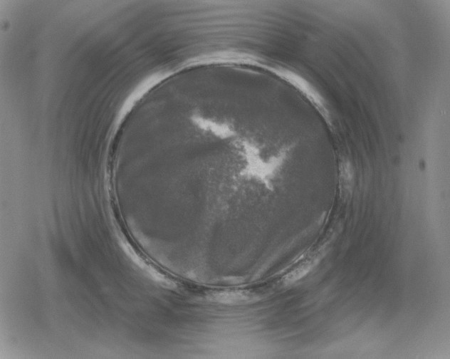 X0000080180998200612221311