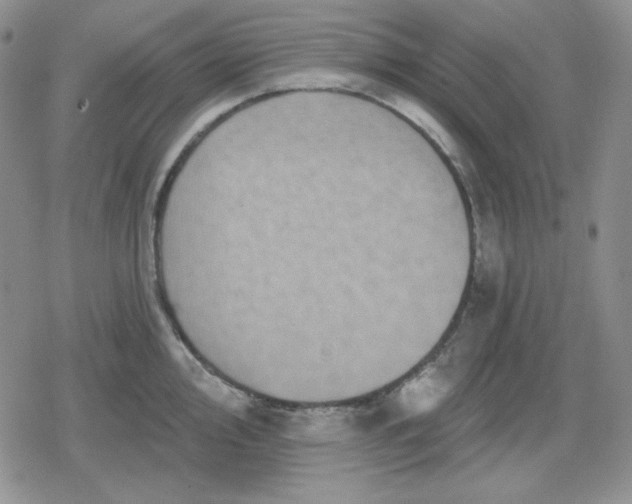 X0000080181000200612221311