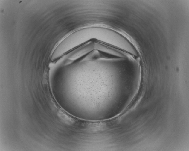 X0000080181001200612221311