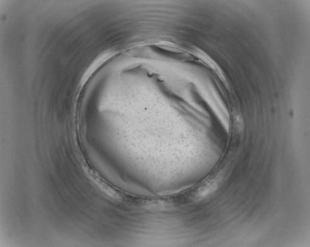 X0000080181002200612221311