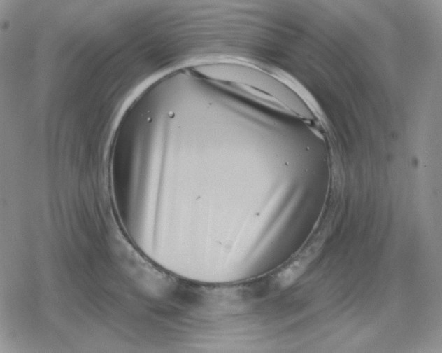 X0000080181004200612221311