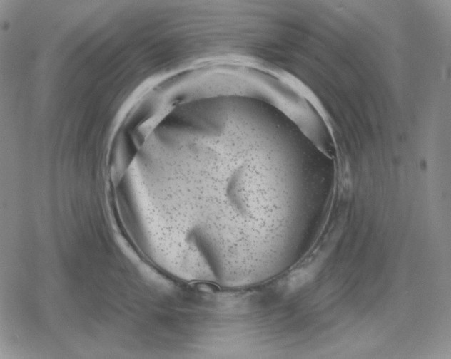 X0000080181005200612221311