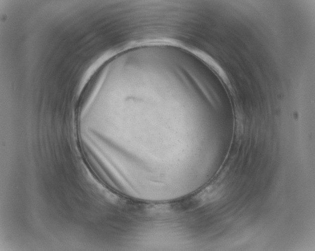 X0000080181006200612221311