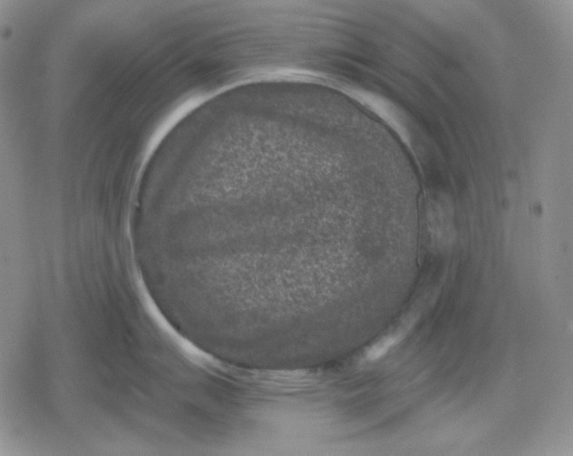 X0000080181007200612221311