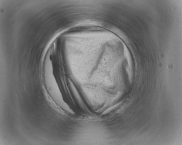 X0000080181008200612221311