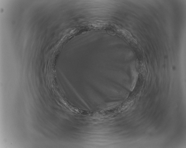 X0000080181009200612221310