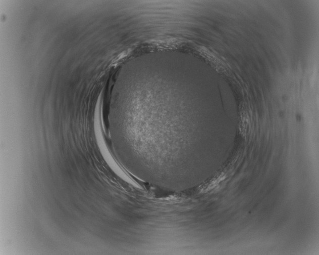 X0000080181010200612221310