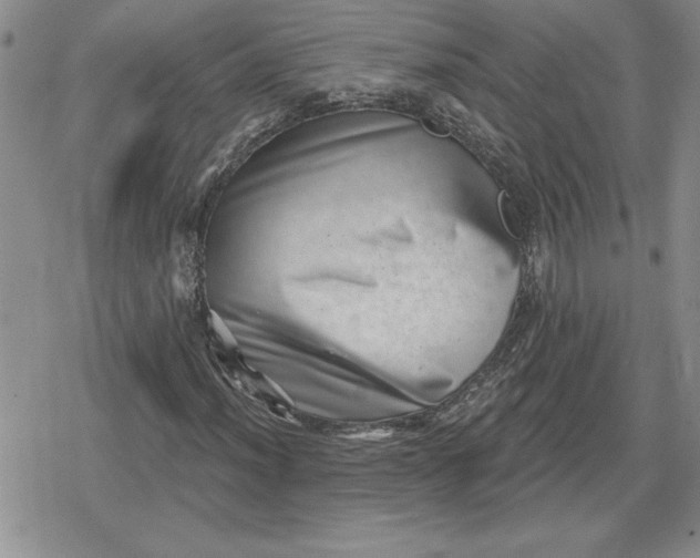 X0000080181012200612221310