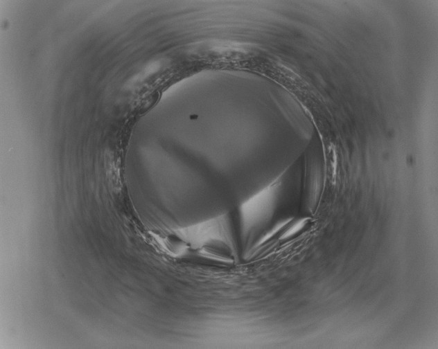 X0000080181013200612221310