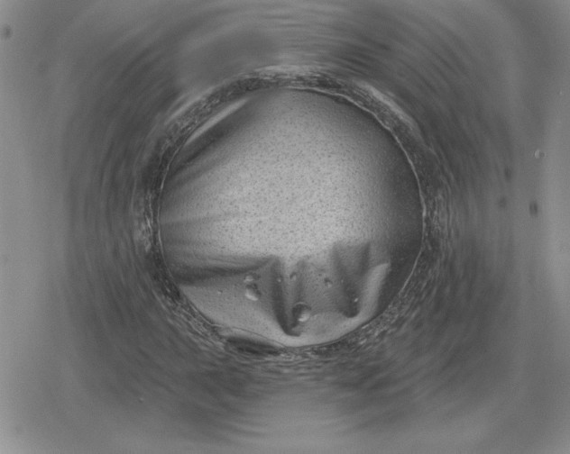 X0000080181015200612221310