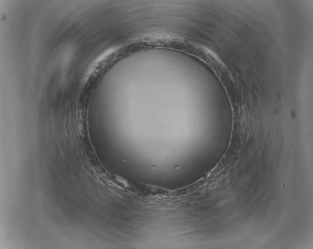 X0000080181016200612221310