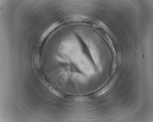 X0000080181018200612221310