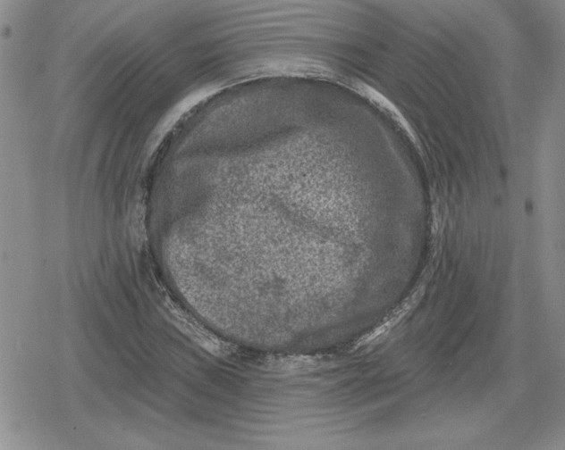 X0000080181019200612221310