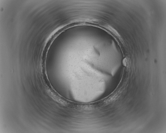 X0000080181020200612221310