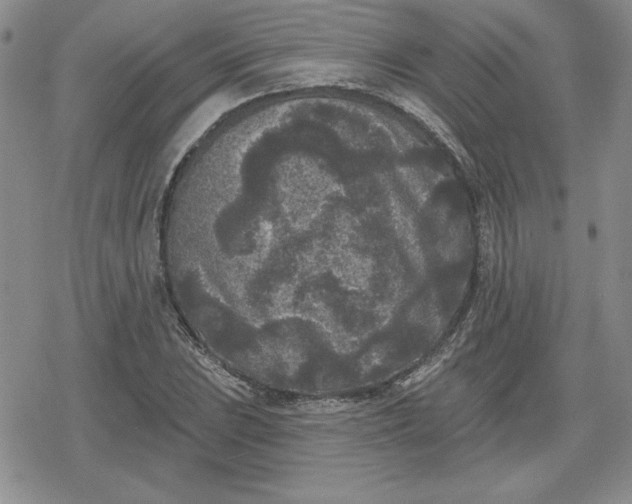 X0000080181023200612221310