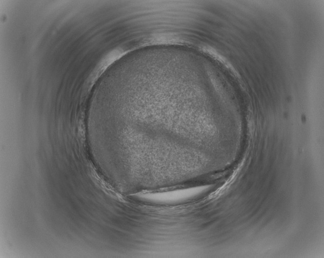 X0000080181025200612221310