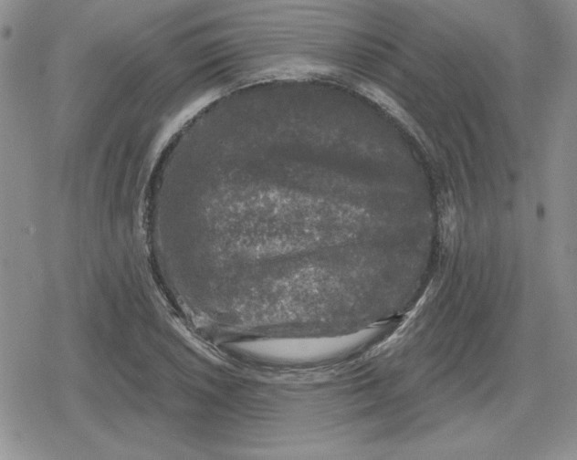 X0000080181026200612221310