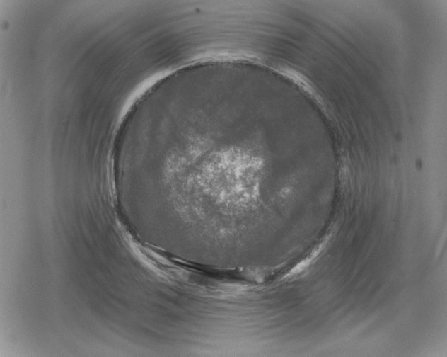 X0000080181030200612221310