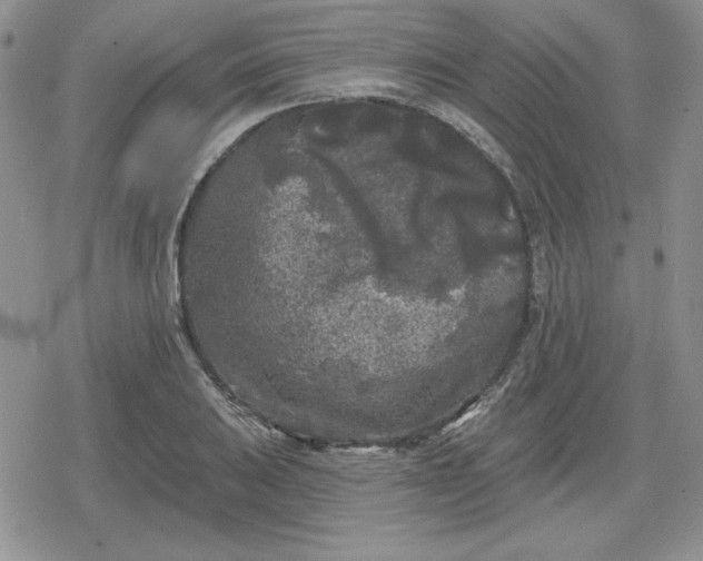 X0000080181031200612221310