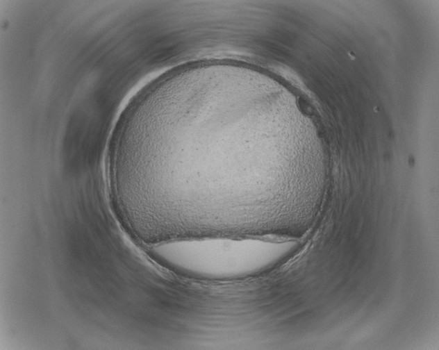 X0000080181032200612221310