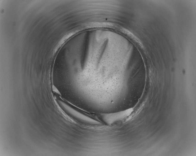 X0000080181033200612221310