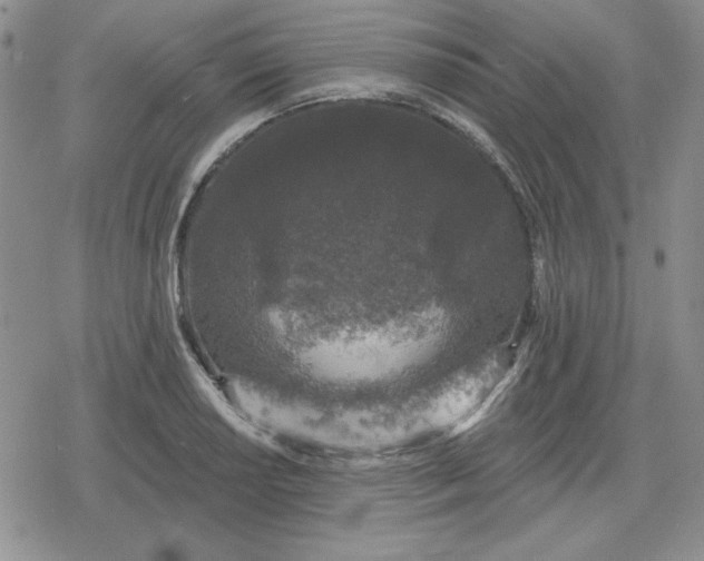 X0000080181034200612221310