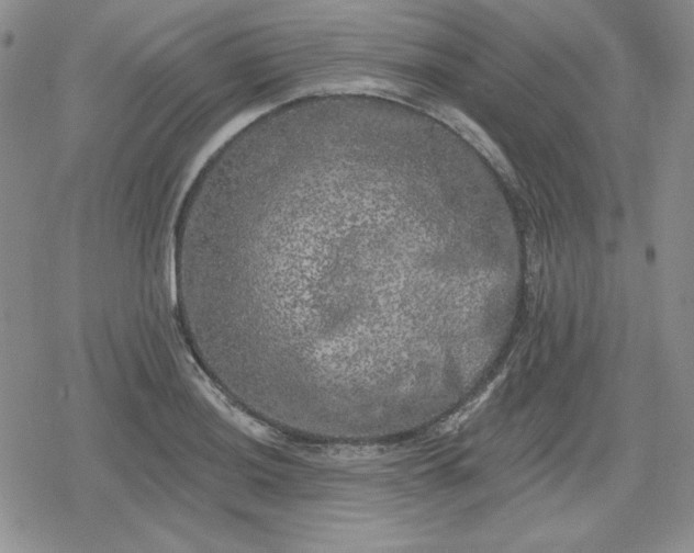 X0000080181036200612221311