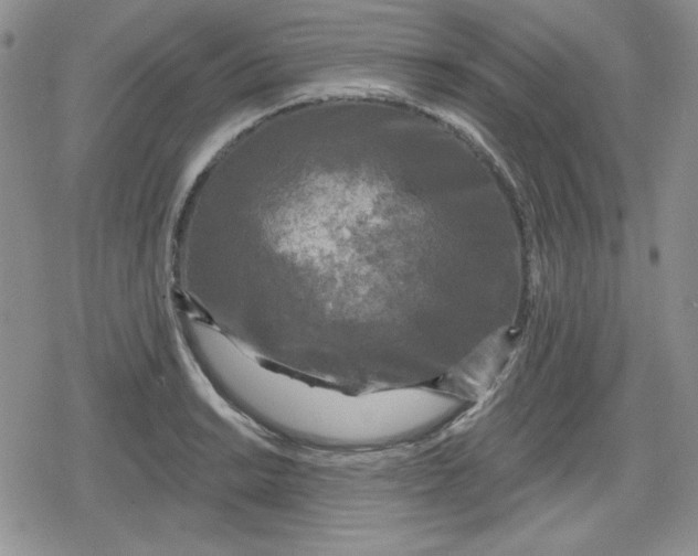 X0000080181038200612221311