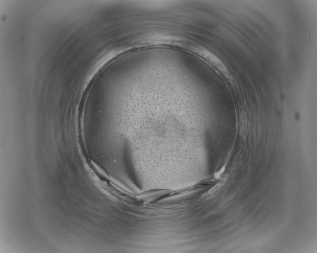 X0000080181039200612221311