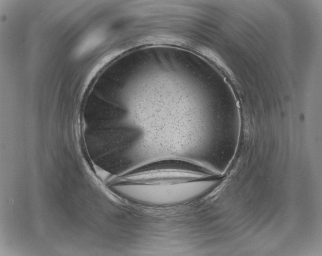 X0000080181040200612221311