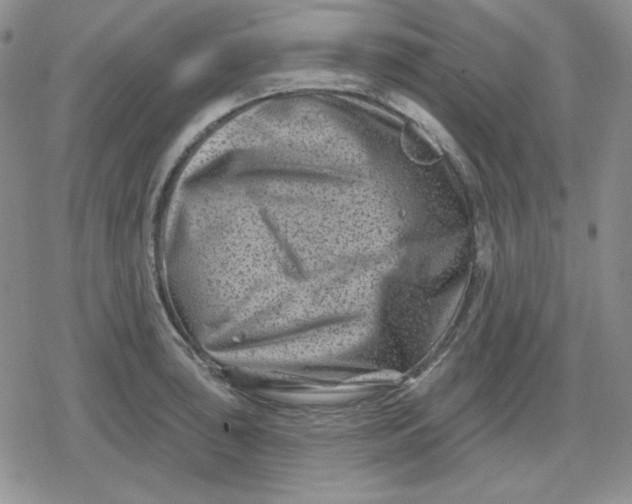 X0000080181043200612221311