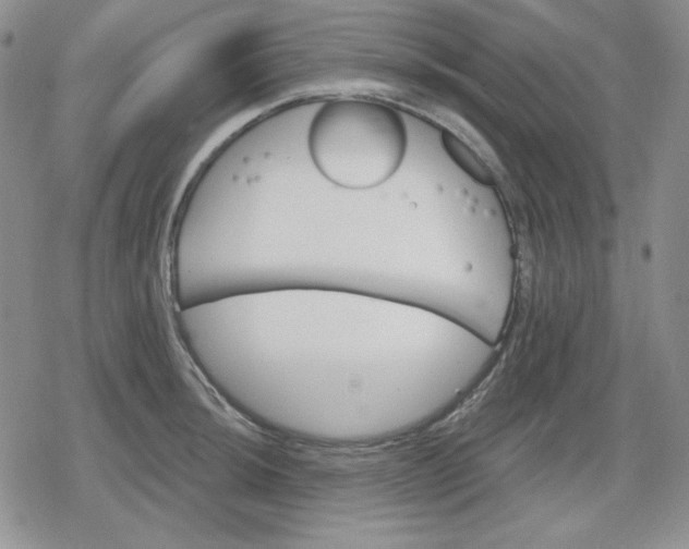 X0000080181044200612221311