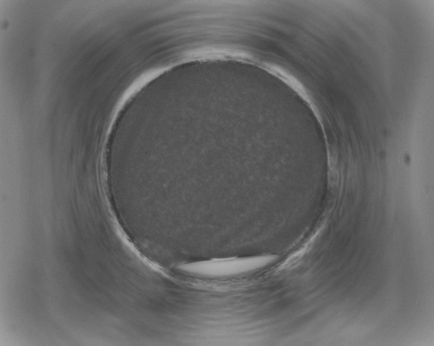 X0000080181045200612221311