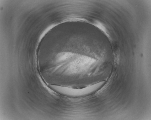 X0000080181046200612221311