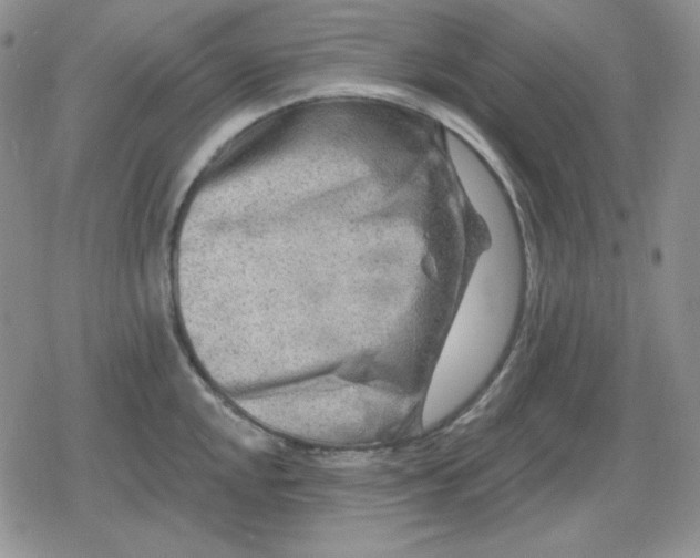 X0000080181048200612221311