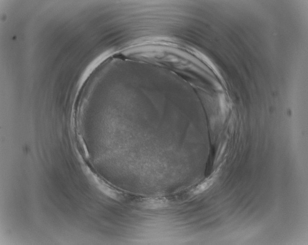 X0000080181050200612221311