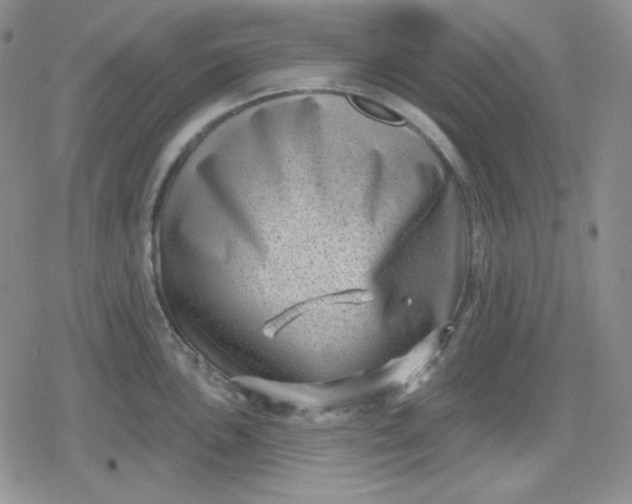 X0000080181051200612221311