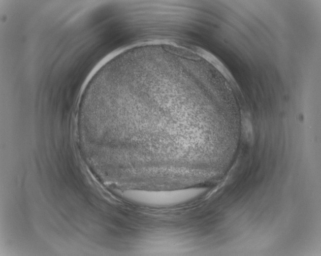 X0000080181052200612221311