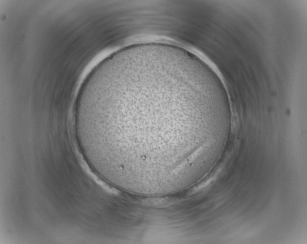 X0000080181053200612221311