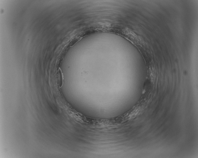 X0000080181057200612221310