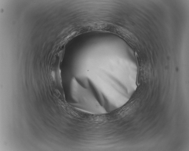 X0000080181058200612221310