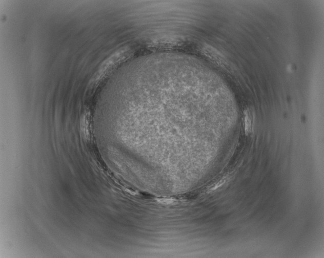 X0000080181059200612221310