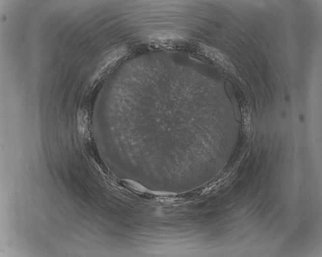 X0000080181060200612221310