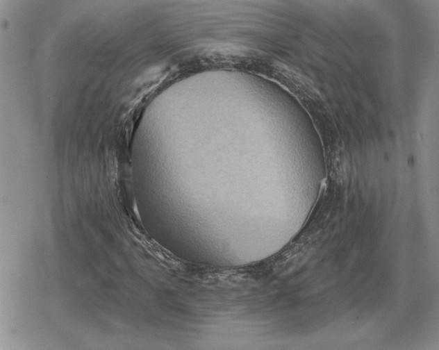 X0000080181061200612221310