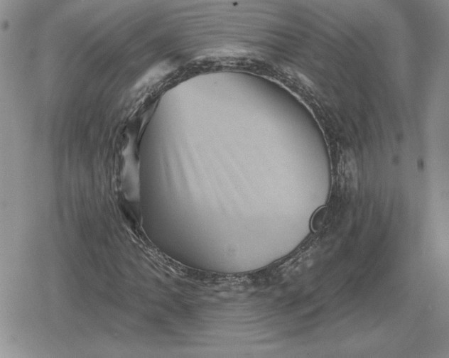 X0000080181062200612221310