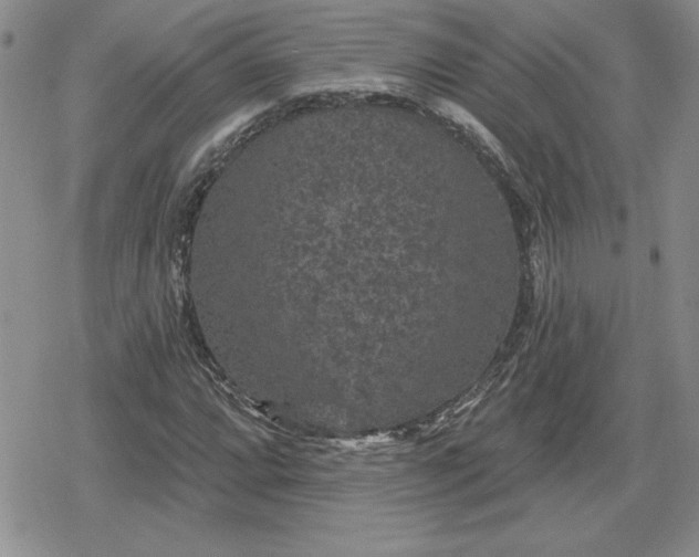 X0000080181064200612221310