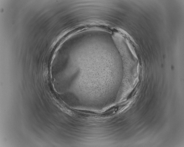 X0000080181065200612221310