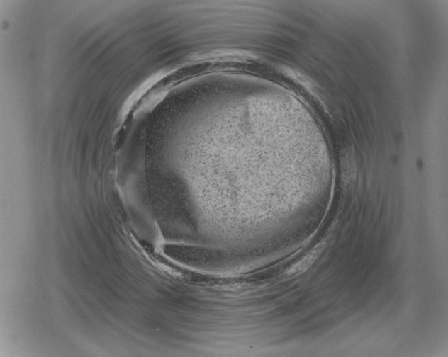 X0000080181066200612221310