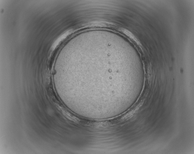 X0000080181067200612221310