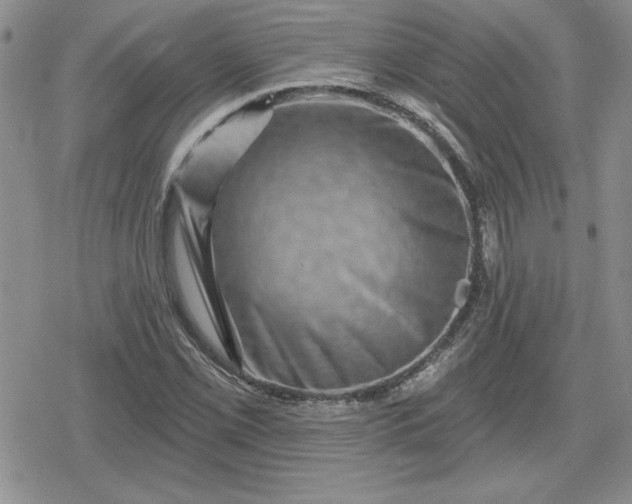 X0000080181069200612221310